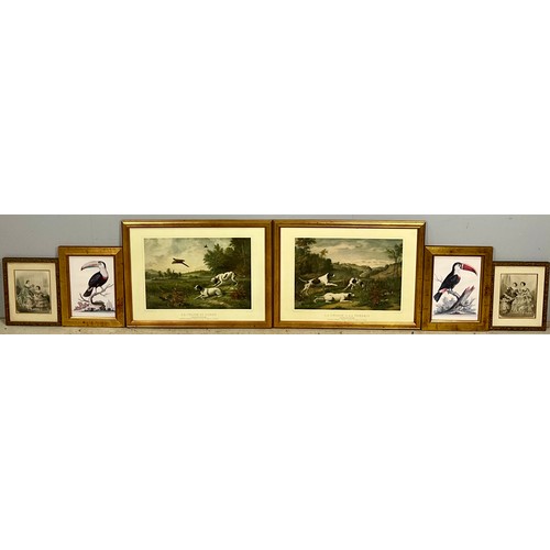 47 - 2 MAURICE BARBOT HUNTING DOG PRINTS, 2 GILT FRAMED COLOURED ENGRAVINGS DEPICTING 18TH CENTURY LADIES... 