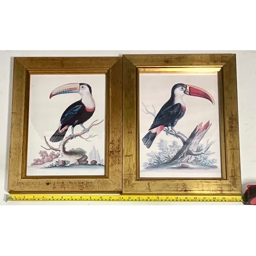 47 - 2 MAURICE BARBOT HUNTING DOG PRINTS, 2 GILT FRAMED COLOURED ENGRAVINGS DEPICTING 18TH CENTURY LADIES... 