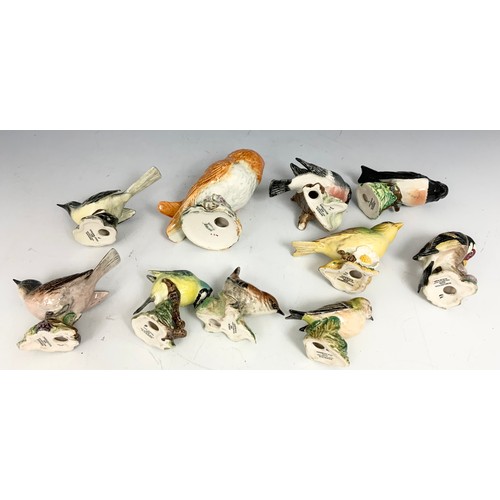 144 - COLLECTION OF BESWICK BIRD MODELS INC BARN OWL, GREENFINCH  ETC