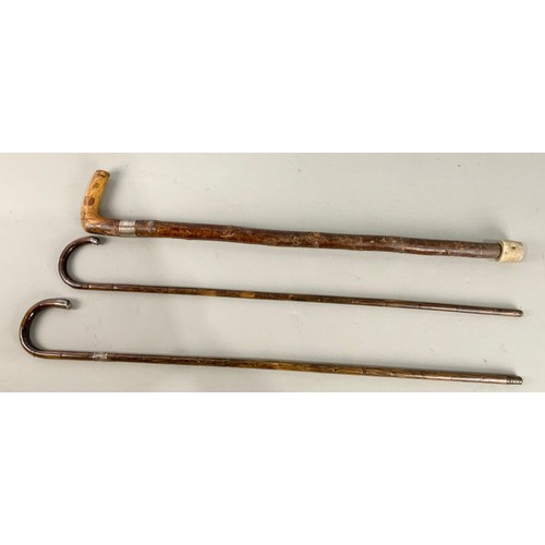 362 - 2 WALKING CANES / STICKS WITH HALLMARKED SILVER MOUNTS  & A WALKING STICK WITH WHITE METAL BAND