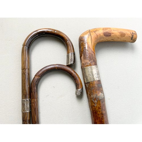 362 - 2 WALKING CANES / STICKS WITH HALLMARKED SILVER MOUNTS  & A WALKING STICK WITH WHITE METAL BAND