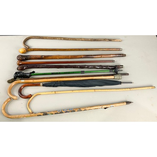 364 - QUANTITY OF WALKING STICK / CANES ETC