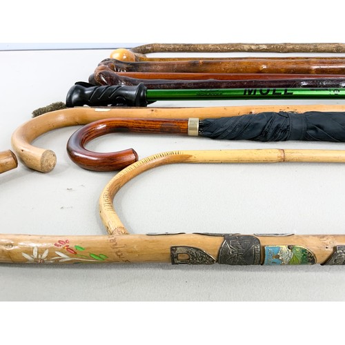 364 - QUANTITY OF WALKING STICK / CANES ETC