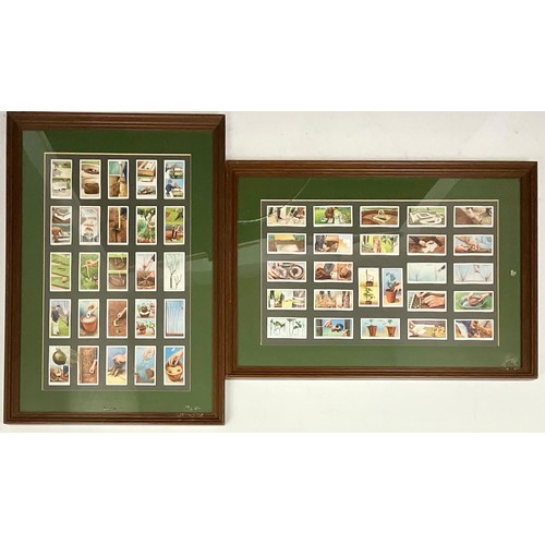 391 - A PAIR OF FRAMED WILL’S CIGARETTES CARDS SETS OF HORICULTURAL TIPS. ONE SADLY HAS CRACKED GLASS. OVE... 