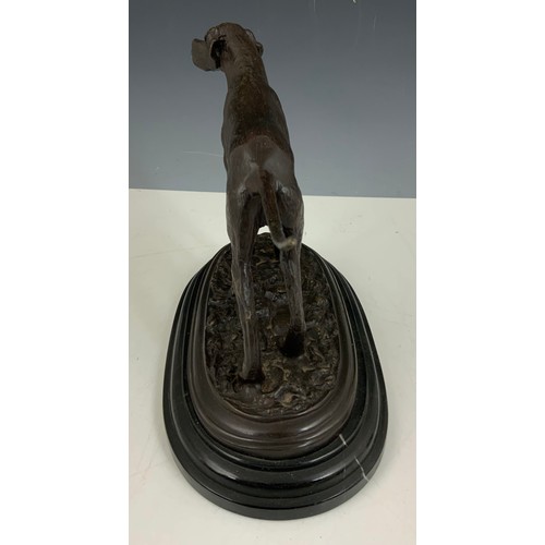 84 - BRONZE AFTER MENE DEPICTING A POINTER 25.5cm TALL