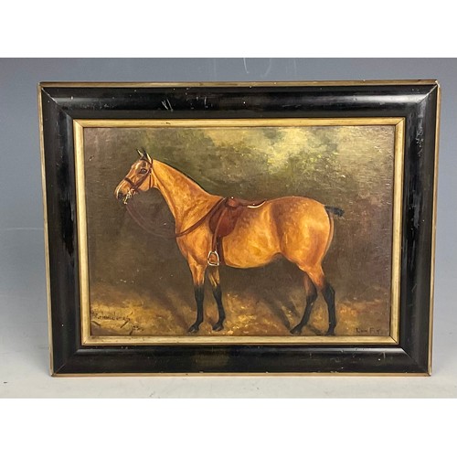 9 - POSSIBLY HERBERT H. ST JOHN-JONES (1870-1939), SMALL PRIMITIVE OIL ON BOARD DEPICTING A HORSE, ‘RUN ... 