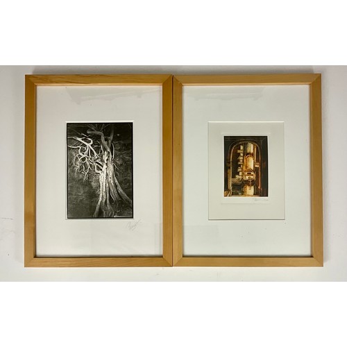 36 - 2 MODERN FRAMED PRINTS WITH PENCIL SIGNATURES