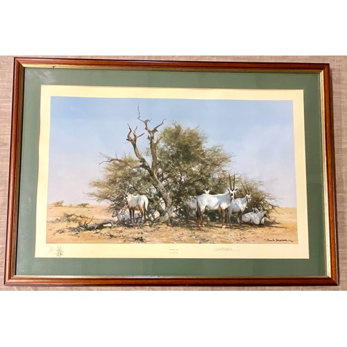 28 - DAVID SHEPHERD LIMITED EDITION PRINT – ARABIAN ORYX #1237/1500 WITH PENCIL SIGNATURE. 76 x 45cm