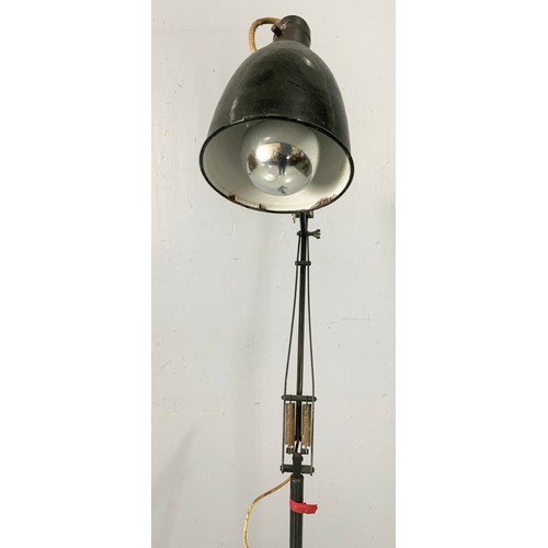 256 - STANDARD ANGLE POISE LAMP