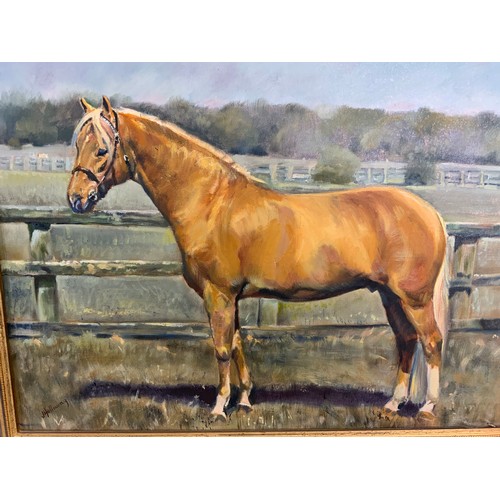 12 - OIL ON BOARD DEPICTING A HORSE WITH SIGNATURE J HOLLOWAY 45cm x 35cm. Maybe subject to ARR