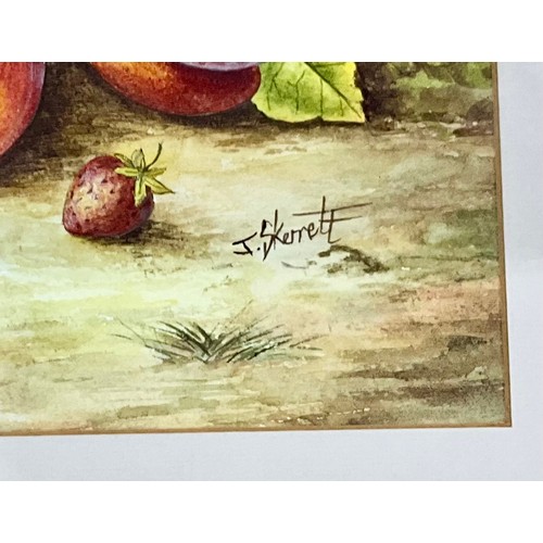 36 - JAMES SKERRETT (WORCESTER PORCELAIN ARTIST) WATERCOLOUR, STILL LIFE FALLEN FRUIT, APPROX. 28 X 19 cm