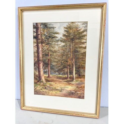 30 - BERTHN REID, WATERCOLOUR DEPICTING WOODLAND SCENE, DATED 1906, APPROX. 34 X 48 cm