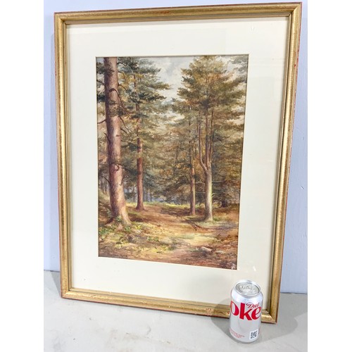 30 - BERTHN REID, WATERCOLOUR DEPICTING WOODLAND SCENE, DATED 1906, APPROX. 34 X 48 cm