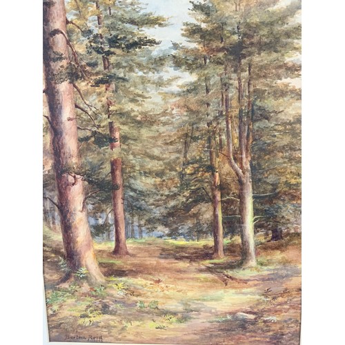 30 - BERTHN REID, WATERCOLOUR DEPICTING WOODLAND SCENE, DATED 1906, APPROX. 34 X 48 cm