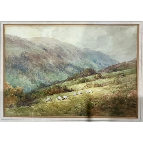 56 - E.C. PASCOE HOLMAN: A FRAMED WATERCOLOUR, DEPICTING A LANDSCAPE WITH SHEEP - SIGNED, WATERCOLOUR DEP... 