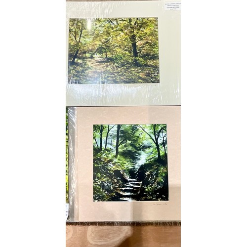 58 - TWO UNFRAMED WATERCOLOURS T/W SIX UNFRAMED LTD. ED. PRINTS OF WOODED TRAILS BY LOCAL MALVERN ARTIST ... 