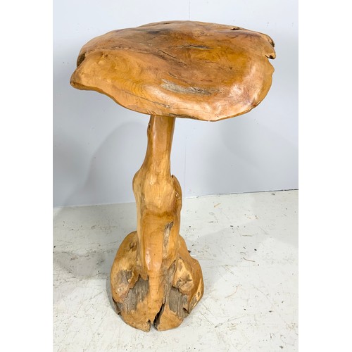 508 - UNUSUAL MANGO / DRIFT WOOD CHAIR & TABLE / MUSHROOM