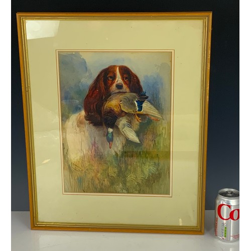 27 - 2  1930’s WATERCOLOUR PAINTINGS OF DOGS SIGNED EDWARD W BALL