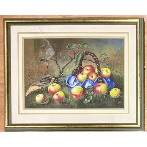 28 - ORIGINAL GOUACHE/WATERCOLOUR ‘STILL LIFE FRUIT’ SIGNED C. HOPE. Approx. 50 x 35cm