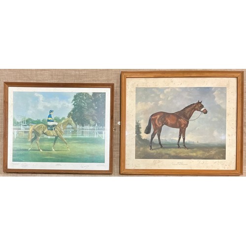 74 - TWO RACEHORSE PRINTS, GRUNDY AND MILL REEF, BOTH SIGNED BY JOCKEY AND TRAINERS. Largest Approx.  57 ... 