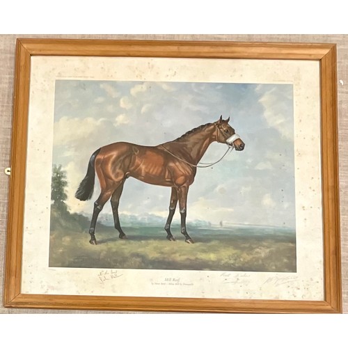 74 - TWO RACEHORSE PRINTS, GRUNDY AND MILL REEF, BOTH SIGNED BY JOCKEY AND TRAINERS. Largest Approx.  57 ... 