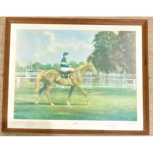 74 - TWO RACEHORSE PRINTS, GRUNDY AND MILL REEF, BOTH SIGNED BY JOCKEY AND TRAINERS. Largest Approx.  57 ... 