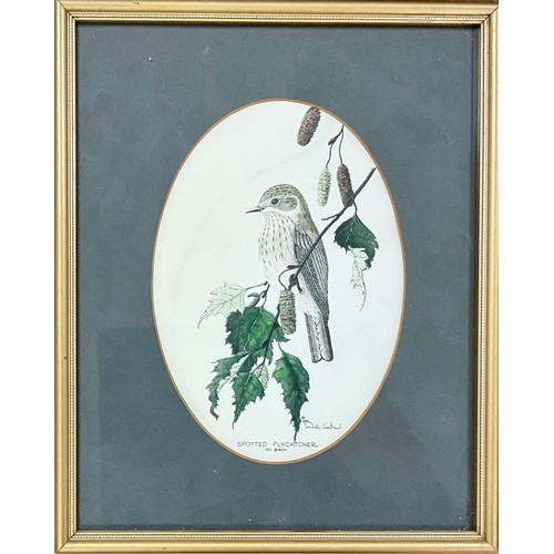 90 - A PAIR OF JOHN MORLAND GARDEN BIRD PRINTS AND PENNY COX LIFE A BITCH PRINT 19 x 15cm SIGNED IN PENCI... 