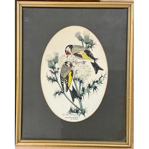 90 - A PAIR OF JOHN MORLAND GARDEN BIRD PRINTS AND PENNY COX LIFE A BITCH PRINT 19 x 15cm SIGNED IN PENCI... 