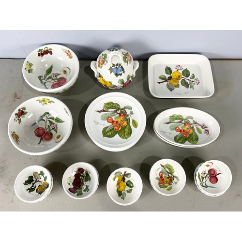 221 - PORTMEIRON POMONA PATTERN SERVING BOWLS, CASEROLE POT, SERVING PLATERS , DINNER PLATES