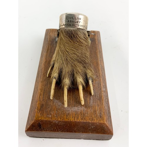 421 - OTTER’S FOOT TROPHY WITH SILVER MOUNTS