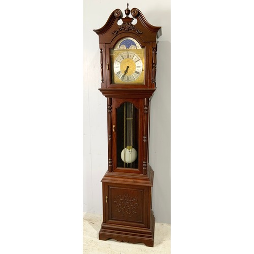 305 - LONG CASED CLOCK WITH MOON DIAL