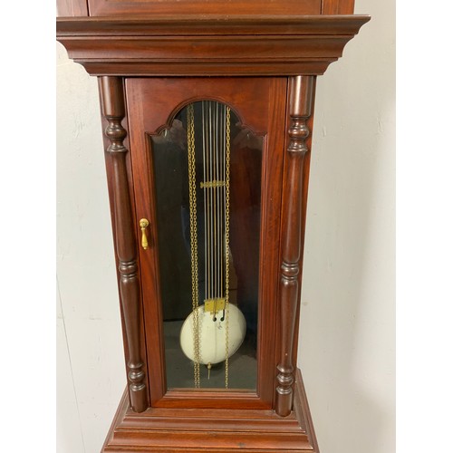 305 - LONG CASED CLOCK WITH MOON DIAL