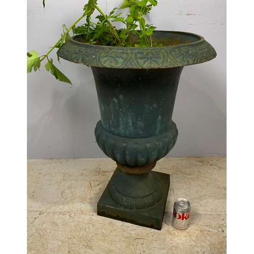 551 - GOOD QUALITY HEAVY CAST IRON CAMPANA GARDEN URN 71cm TALL