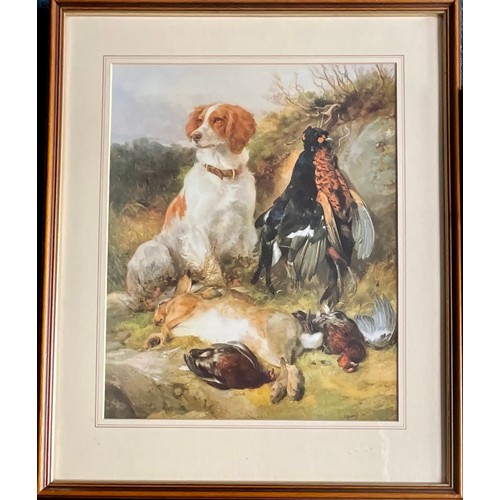 76 - TWO LTD ED. PRINTS OF HUNTING DOGS BY ANDREW HASLEM - LABS  #333/600  SPRINGERS #459/500 T/W JAMES H... 