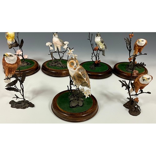 111 - COLLECTION OF BIRDS OF PREY AND OWLS STUDIES ON BRANCHES, SOME WITH WOODEN PLINTHS