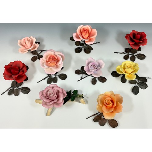 103 - COLLECTION OF ROYAL WORCESTER ROSE STUDIES