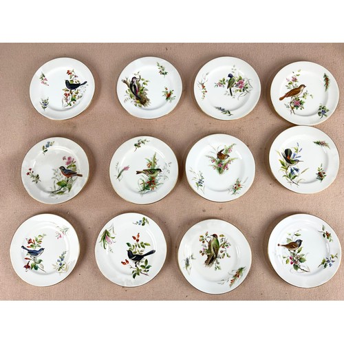 135 - 19TH  CENTURY ROYAL WORCESTER TEAWARE WITH HAND PAINTED BIRDS  DECORATION INC 12 SIDE PLATES , 12 SA... 