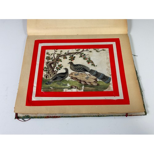 36 - ALBUM OF CHINESE RICE PAPER PICTURES AND ONE OTHER FRAMED DITTO