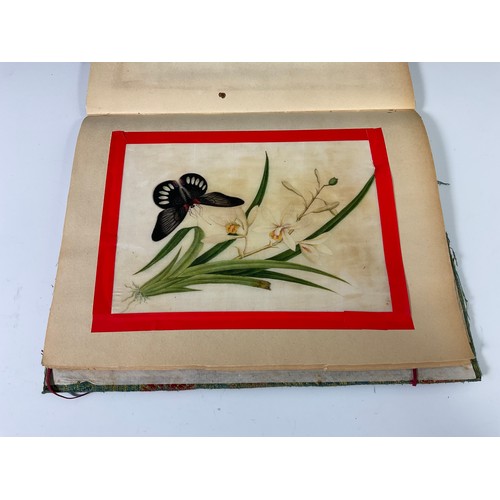 36 - ALBUM OF CHINESE RICE PAPER PICTURES AND ONE OTHER FRAMED DITTO