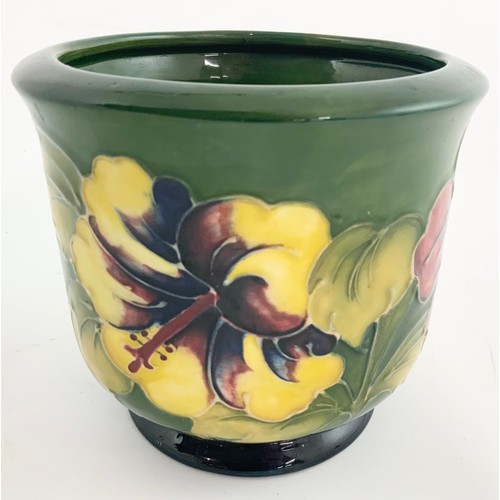 48 - MOORCROFT HIBISCUS GREEN GROUND JARDINIÈRE/POT 12cm TALL