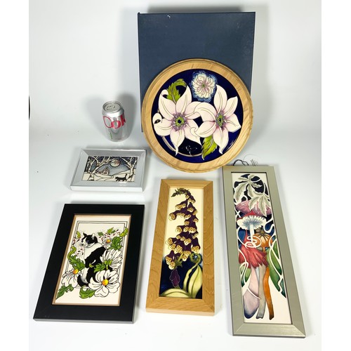 76 - 5 MOORCROFT BOXED FRAMED PLAQUES INCLUDING ROUND ' SOPHIE CHRISTA , MR COAL, FAIRIES FOXGLOVE, DAISY... 