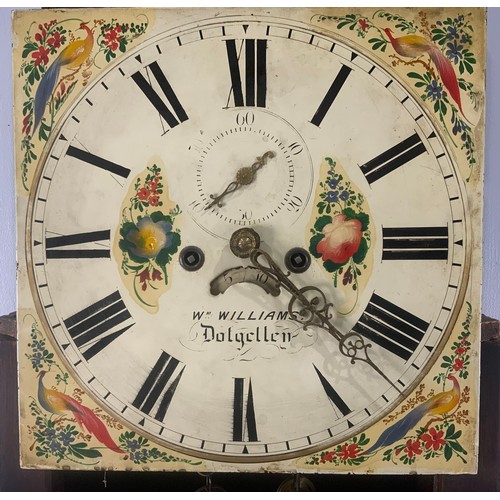 242 - WILLIAM DELGELLAU 8 DAY LONGCASE CLOCK WITH PAINTED DIAL