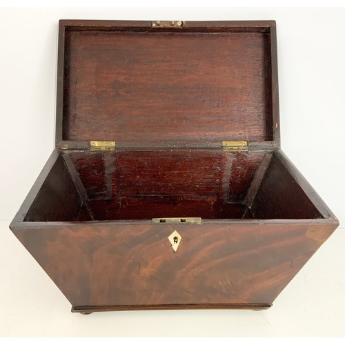 367 - MAHOGANY SARCOPHAGUS SHAPED TEA CADDY WIDTH 34cm