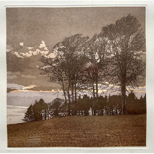 55 - PHIL GREENWOOD LTD ED. PRINT ‘CLOUD BREAK‘, AN INDISTINCTLY SIGNED LITHOGRAPH, J. EMPSON TINDALL AQU... 