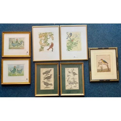 58 - MISC. BIRD RELATED FRAMED PRINTS