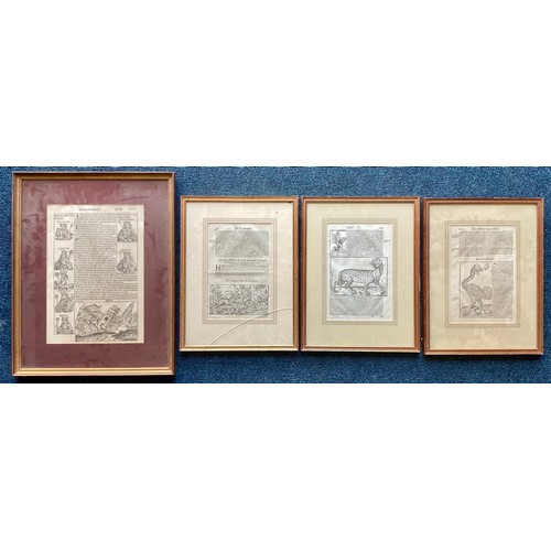 59 - FRAMED BOOK PLATES (SOME DOUBLE SIDED)