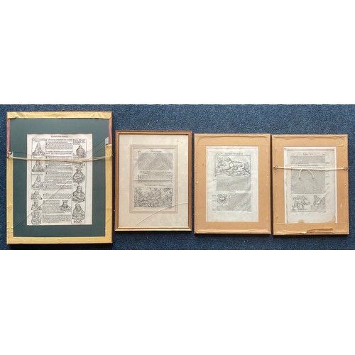 59 - FRAMED BOOK PLATES (SOME DOUBLE SIDED)