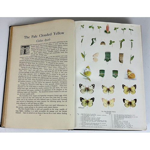 101 - ++ Withdrawn ++ LEPIDOPTERY FROHAWK, F.W. NATURAL HISTORY OF BRITISH BUTTERFLIES TWO VOLUMES (2)