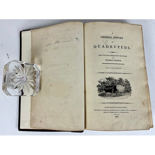 100 - ++ Withdrawn ++ BEWICK (THOS.) A GENERAL HISTORY OF QUADRUPEDS, ROY 8VO NEWCASTLE-UPON-TYNE, (ED. WA... 