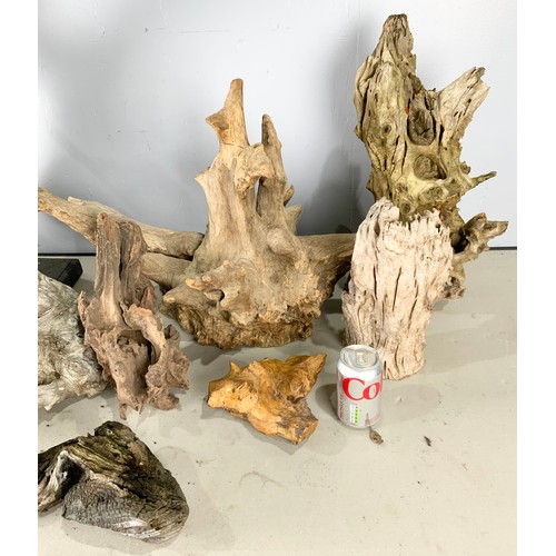 336 - LARGE QUANTITY OF DRIFTWOOD INC. A MOUNTED AND CARVED PIECE